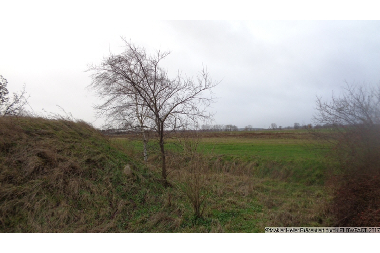 Landwirtschaftsflächen in Belgern- Liebersee